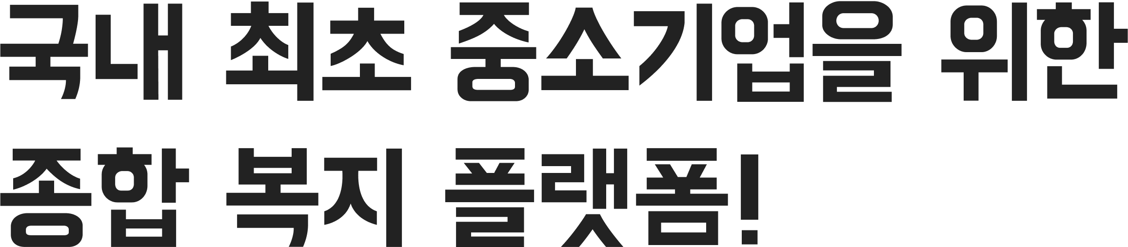 푸터 타이틀
